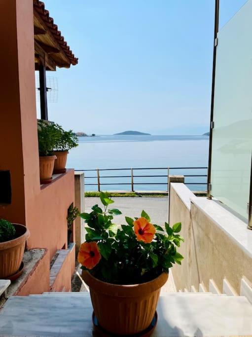 Apartment Seaside In Glyfada-trizonia Glyfada (Phocis)